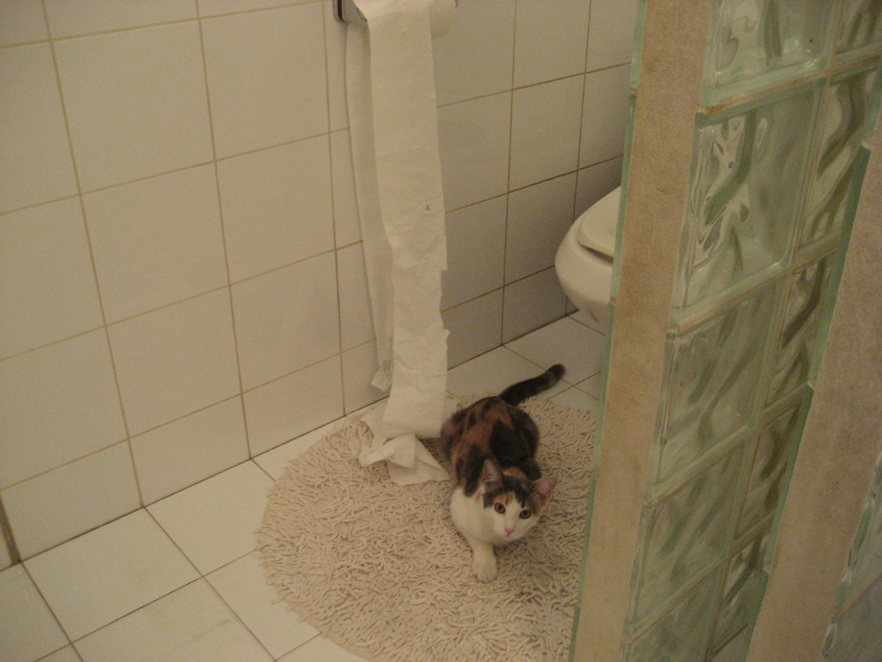 奥利维耶带走奥地利,一场德甲争冠战,一段横跨南非与欧洲的足球史诗