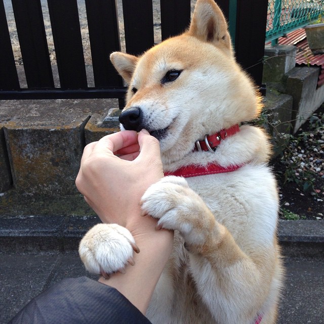 爵士旋律中的绿茵王者,小贾伦在意甲焦点战接管比赛